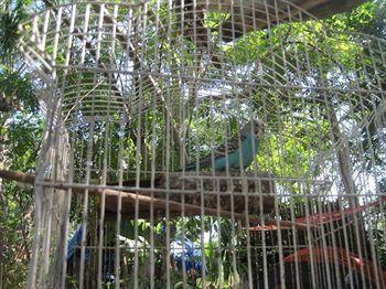 Chichén-Itzá Yucatan Mayan Retreat Ecohotel And Camping מראה חיצוני תמונה